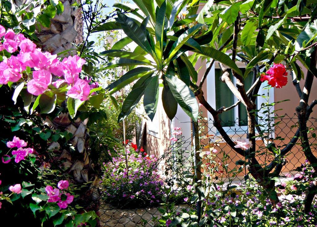 Rododafni Villas Klorakas Exterior photo
