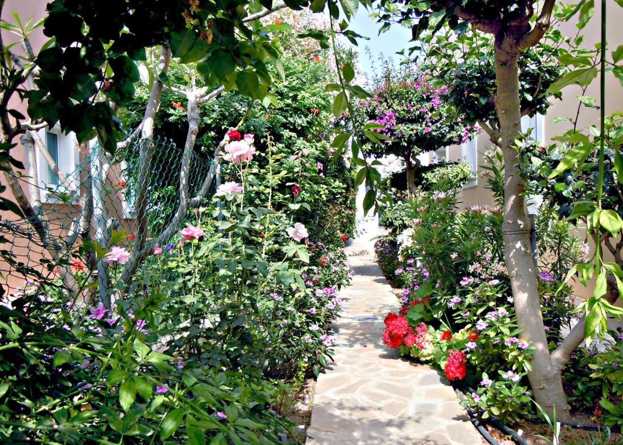Rododafni Villas Klorakas Exterior photo